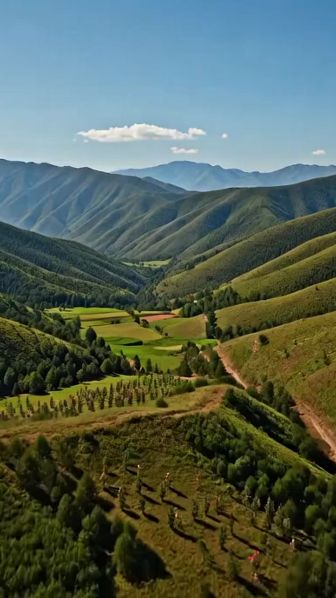 Ramo de Girasoles que Iluminan Su Día: Explosión de Sol y Naranja 🌞💛 Floradom"