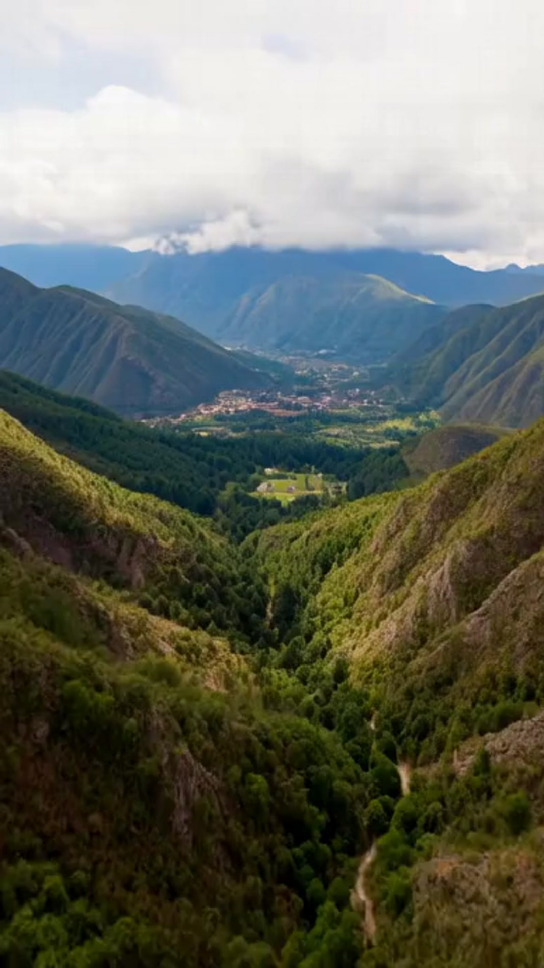 Ramo de Girasoles que Iluminan Su Día: Explosión de Sol y Naranja 🌞💛 Floradom"